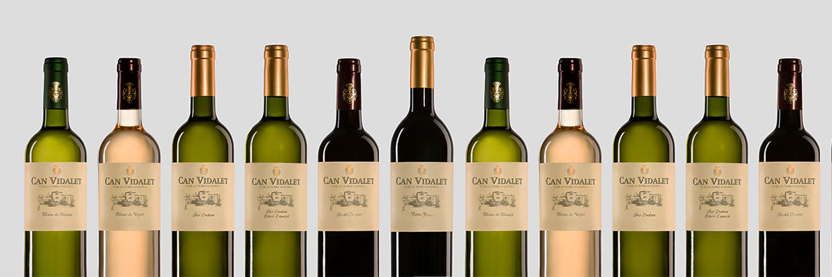Cycling-Holiday-Tours-Mallorca-Vineyard